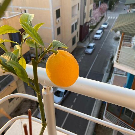 דורס Nora Apartments מראה חיצוני תמונה